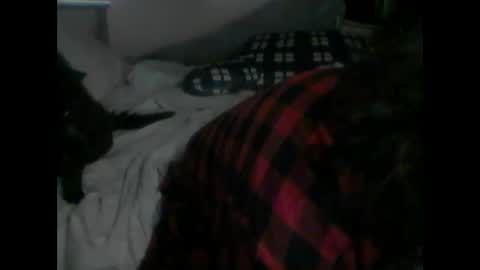 Snapshot of deroseblack chatting on October 2025 02:06:01 PM deroseblack online show from October 2025 02:06:01 PM