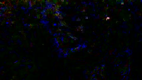 Eva and Adam online show from December 2024 08:50:02 AM