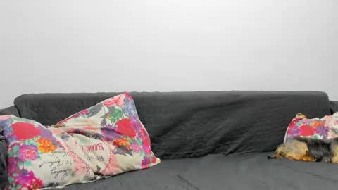 Misha online show from February 2025 07:07:02 AM