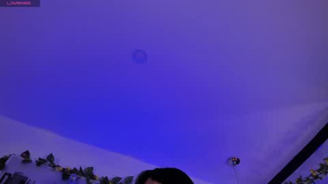 dianekitty online show from December 2024 12:19:02 PM