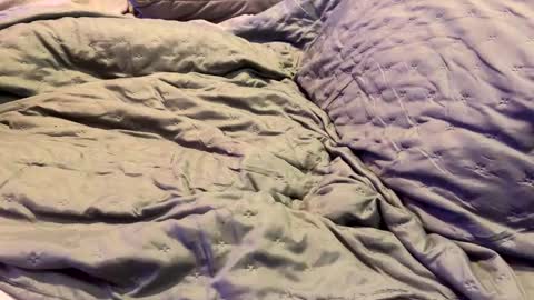 Snapshot of dicapri91 chatting on January 2025 05:32:01 AM dicapri91 online show from January 2025 05:32:01 AM