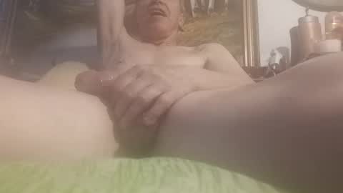 Snapshot of dickielee306251 chatting on February 2025 08:50:01 AM dickielee306251 online show from February 2025 08:50:01 AM