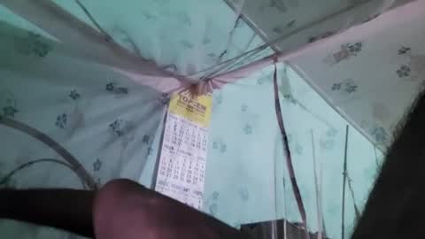 Dick balls online show from March 2025 07:31:02 PM