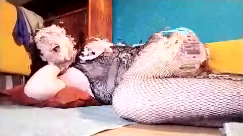 Snapshot of dickycumalotofficial chatting on March 2025 07:15:02 PM Dicky online show from March 2025 07:15:02 PM