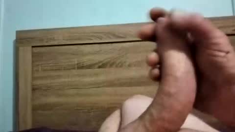 dingo_250 online show from September 2025 01:38:01 PM