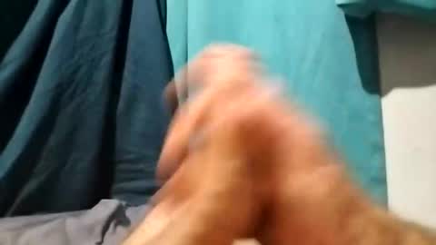 dingo_250 online show from October 2025 11:53:02 AM