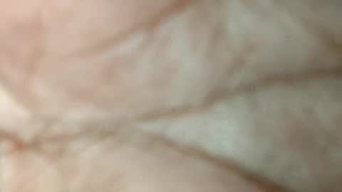 Snapshot of dino_7711 chatting on November 2025 05:52:01 PM dyno online show from November 2025 05:52:01 PM