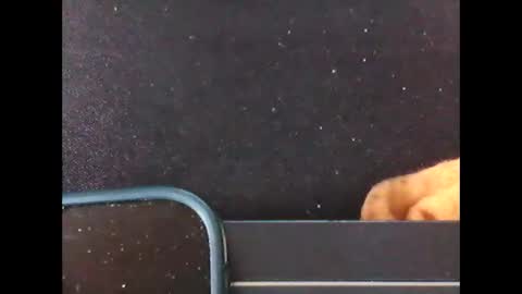 diogominer2 online show from November 2025 12:27:02 PM