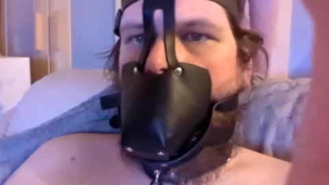 Snapshot of dirtydogsday chatting on January 2025 06:40:01 PM Dirtydog online show from January 2025 06:40:01 PM