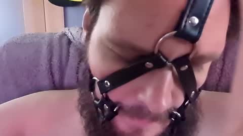 Snapshot of dirtydogsday chatting on October 2025 03:19:02 PM Dirtydog online show from October 2025 03:19:02 PM