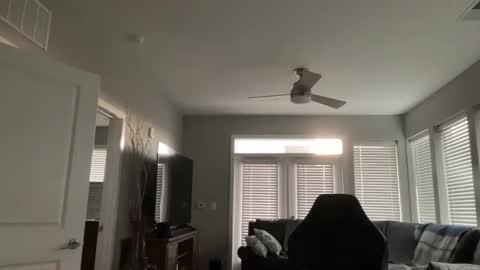 Snapshot of discgolf4life chatting on November 2025 09:59:01 PM JustinDulgeXXX online show from November 2025 09:59:01 PM