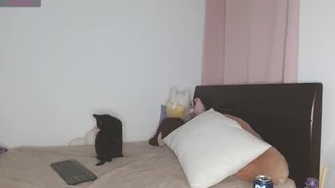 Snapshot of doll_and_sex chatting on January 2025 03:02:01 AM Auro and Santiago online show from January 2025 03:02:01 AM