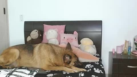 Snapshot of doll_and_sex chatting on March 2025 02:49:02 AM Auro and Santiago online show from March 2025 02:49:02 AM