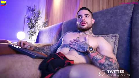 Snapshot of dominic_sullivan1 chatting on February 2025 09:38:01 AM Dominic Sullivan online show from February 2025 09:38:01 AM