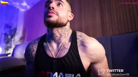 Snapshot of dominic_sullivan1 chatting on February 2025 05:33:02 AM Dominic Sullivan online show from February 2025 05:33:02 AM