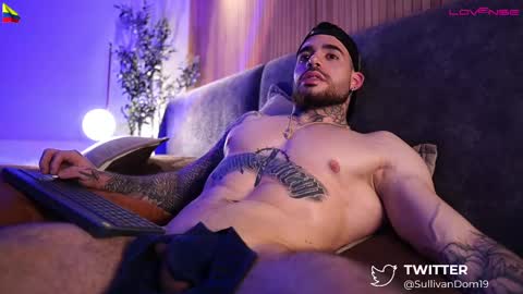 Snapshot of dominic_sullivan1 chatting on February 2025 07:56:02 AM Dominic Sullivan online show from February 2025 07:56:02 AM