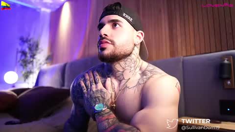 Snapshot of dominic_sullivan1 chatting on March 2025 12:34:01 PM Dominic Sullivan online show from March 2025 12:34:01 PM