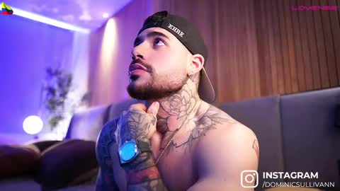 Snapshot of dominic_sullivan1 chatting on March 2025 03:38:02 PM Dominic Sullivan online show from March 2025 03:38:02 PM