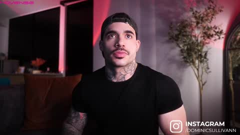 Snapshot of dominic_sullivan1 chatting on September 2025 05:45:02 AM Dominic Sullivan online show from September 2025 05:45:02 AM