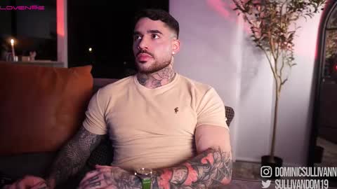 Snapshot of dominic_sullivan1 chatting on October 2025 05:48:02 AM Dominic Sullivan online show from October 2025 05:48:02 AM