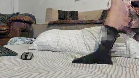 Snapshot of domsxyqte chatting on January 2025 09:17:01 PM Rick online show from January 2025 09:17:01 PM