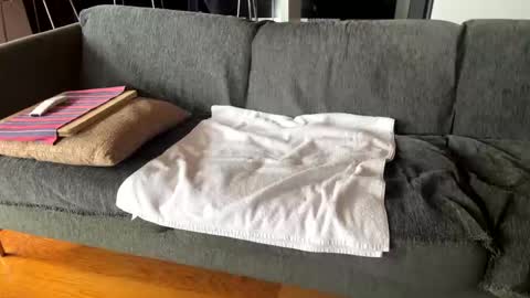 Alfredo online show from October 2025 10:12:02 AM