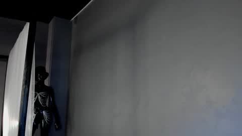 Dorothy Next stream on Monday at 3am-9am online show from March 2025 12:52:01 PM