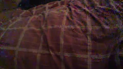 Snapshot of dorsetbiker714 chatting on October 2025 10:54:02 AM Hello welcome to Slutsville I am the Naked Chef really but you may call me Peter online show from October 2025 10:54:02 AM