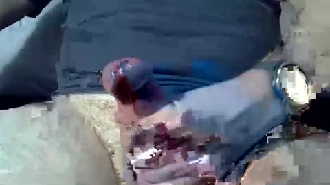 dosser8 online show from January 2025 07:24:01 PM