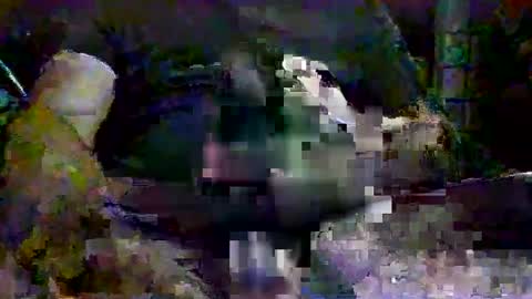 drako1976111 online show from September 2025 11:26:01 PM