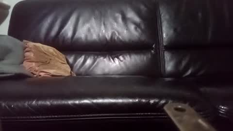 Carsten Tenberg online show from February 2025 03:56:02 AM