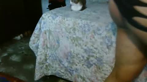 dreamreal online show from October 2025 02:07:01 PM