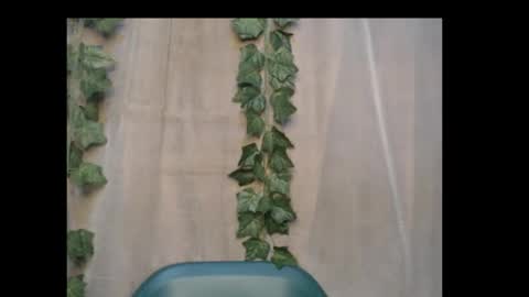 linda online show from October 2025 12:55:01 AM