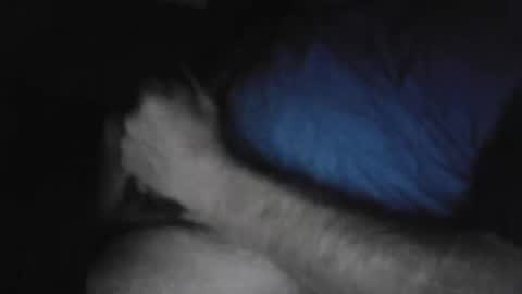 Snapshot of drthick1224 chatting on November 2025 02:35:01 AM drthick1224 online show from November 2025 02:35:01 AM