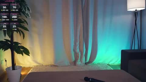 Polly day and Amelia night online show from February 2025 09:13:02 AM