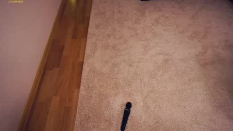 Polly day and Amelia night online show from March 2025 09:29:01 AM