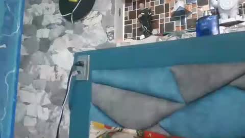 Dulce Sexx26 online show from November 2025 06:51:01 PM