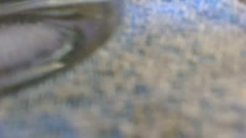 Snapshot of dunany101 chatting on November 2025 11:51:02 PM dunany101 online show from November 2025 11:51:02 PM