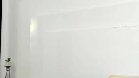 Snapshot of dylantaylor_1 chatting on January 2025 05:54:02 AM Dylan Taylor online show from January 2025 05:54:02 AM