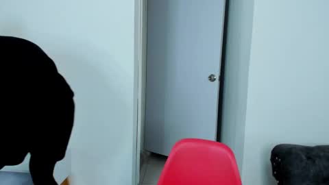 Snapshot of dylantaylor_1 chatting on October 2025 04:00:01 AM Dylan Taylor online show from October 2025 04:00:01 AM