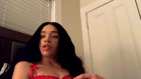 Dynasty online show from December 2024 03:04:02 AM