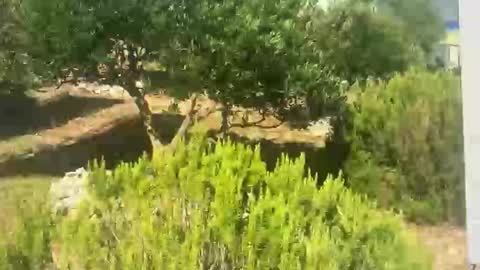 Snapshot of ebnk15 chatting on September 2025 08:08:01 AM ebnk15 online show from September 2025 08:08:01 AM