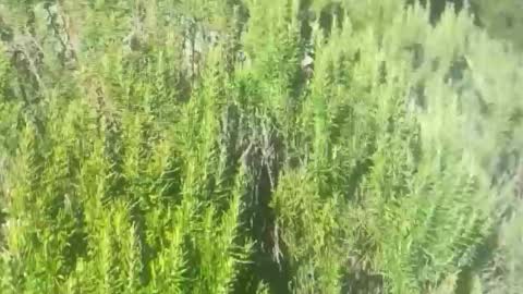 Snapshot of ebnk15 chatting on October 2025 01:12:01 PM ebnk15 online show from October 2025 01:12:01 PM