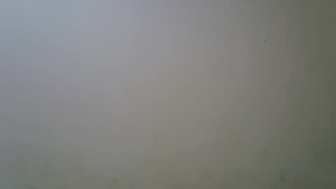 Snapshot of ebonyfire99 chatting on October 2025 07:56:02 PM ebonyfire99 online show from October 2025 07:56:02 PM