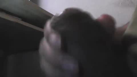 EddiesCock69 online show from November 2025 09:20:02 AM