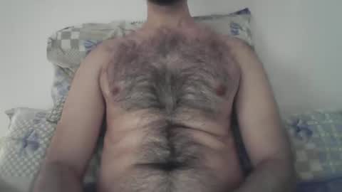 Snapshot of elastik6 chatting on January 2025 11:55:01 AM Elastik6 online show from January 2025 11:55:01 AM