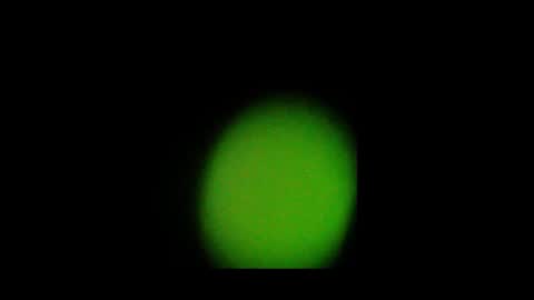 Snapshot of eldonan chatting on October 2025 02:02:01 PM Nando online show from October 2025 02:02:01 PM