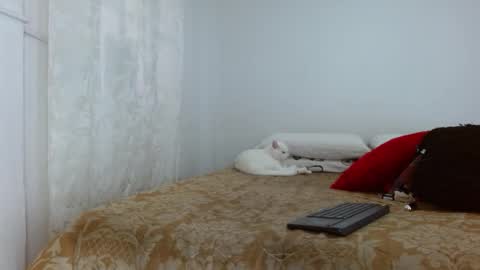 Snapshot of elektratattoo chatting on October 2025 04:08:02 PM elektra online show from October 2025 04:08:02 PM