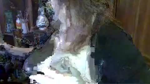 ElenaZed online show from October 2025 09:40:02 AM