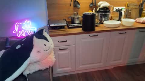 Elisa North online show from September 2025 04:11:01 PM